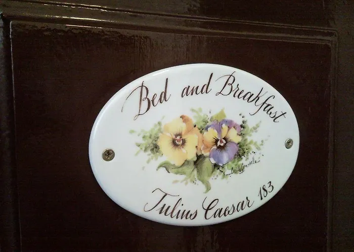 Julius Caesar 183 Gæstehus 4*