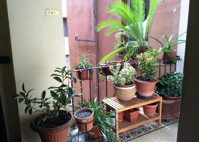 Casa de hóspedes Julius Caesar 183