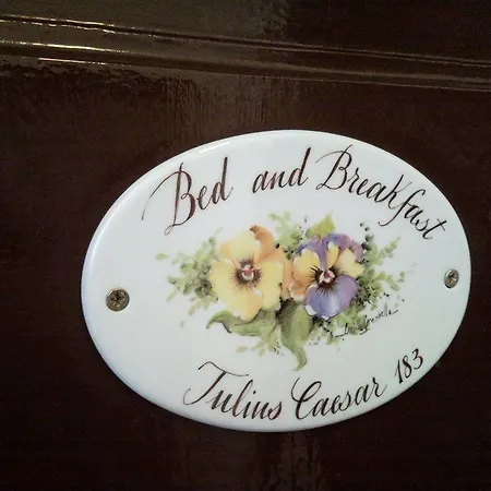 朱利叶斯凯撒183号旅馆 招待所 4*