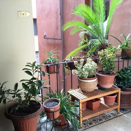 招待所 朱利叶斯凯撒183号旅馆